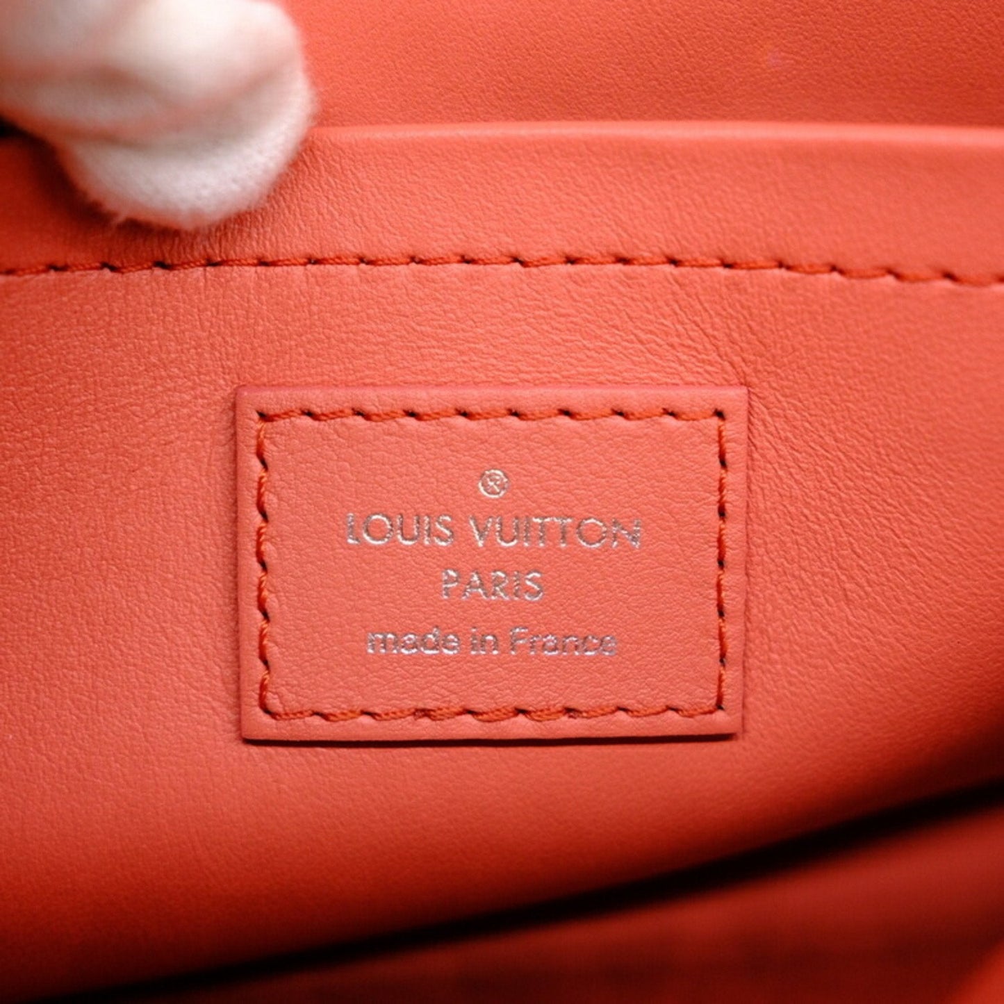 Louis Vuitton Neverfull Plastic Tote Bag ()