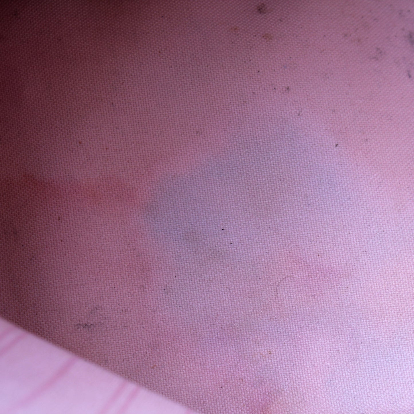 Neverfull w/Wallet MM Damier Ebene