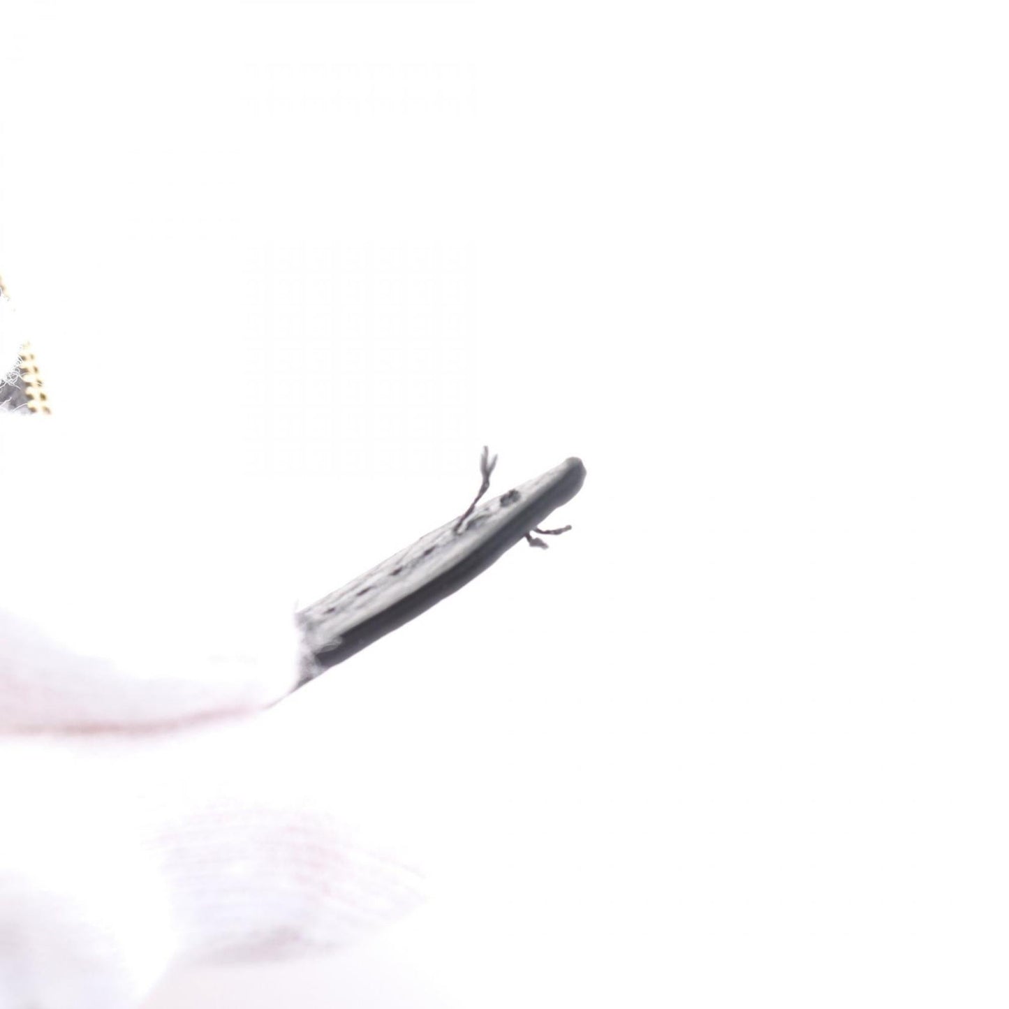 Gucci Black Leather Long Wallet (Bi-Fold) ()