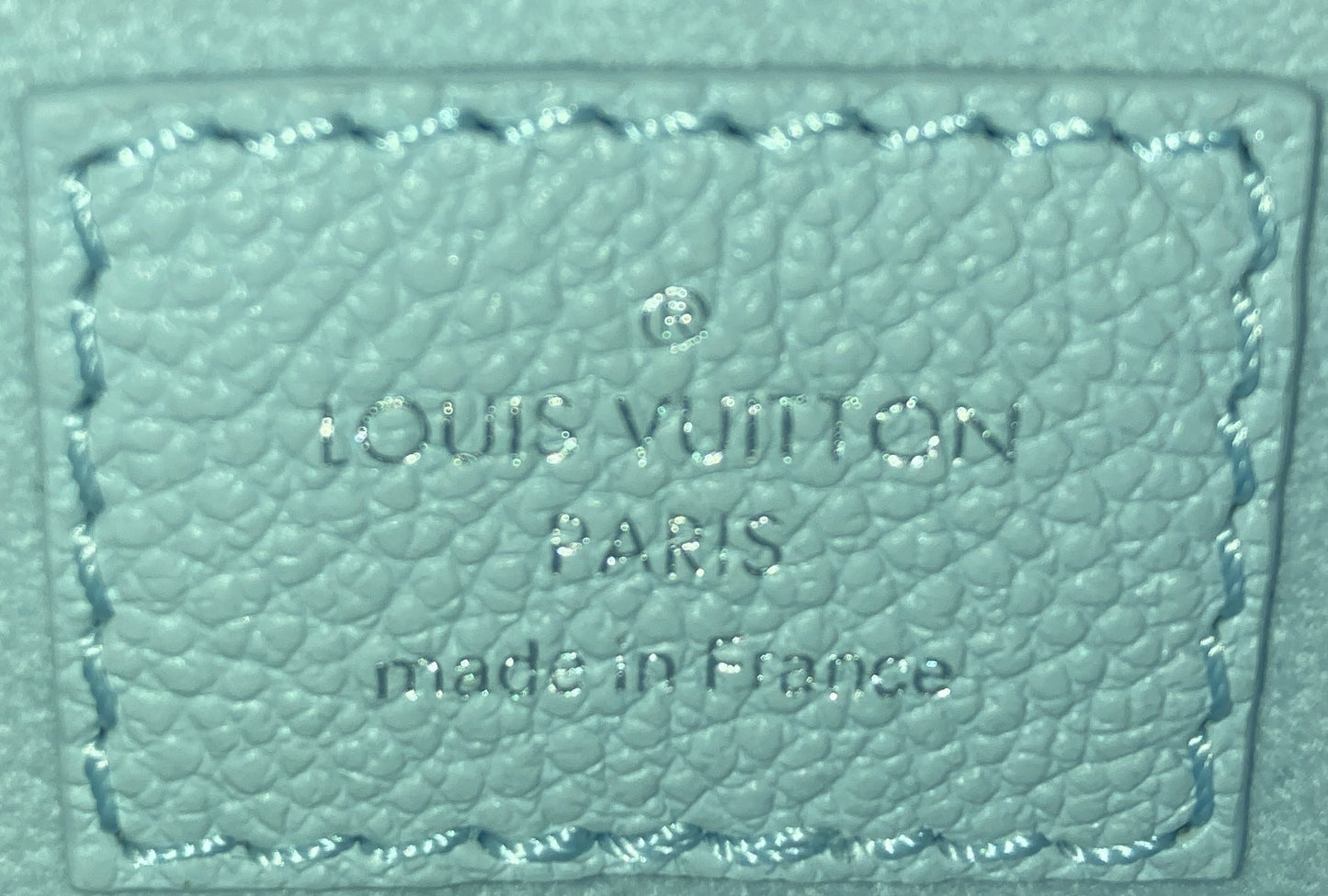 CarryAll Pochette Monogram Empreinte Leather MM