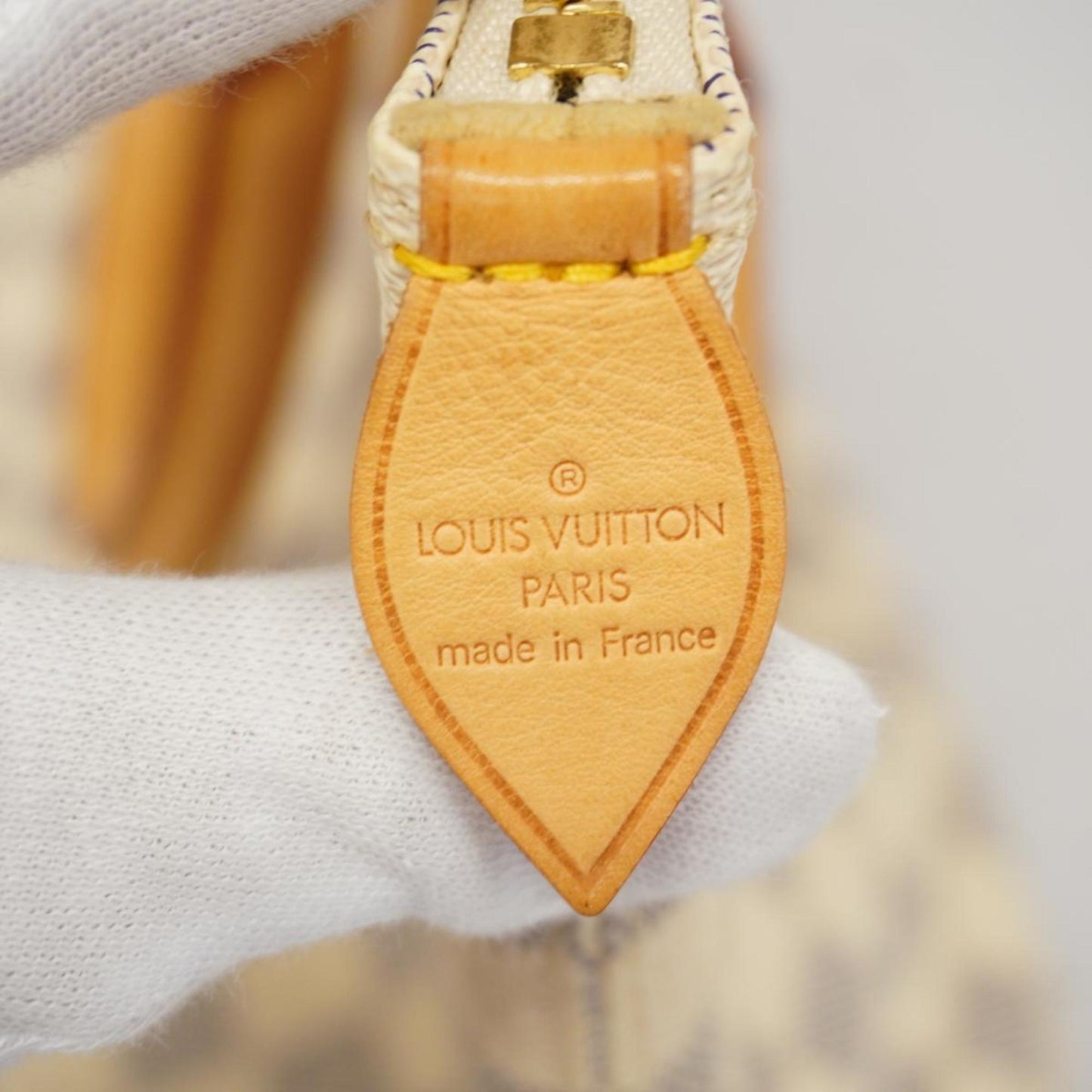 Louis Vuitton Canvas Tote Bag ()