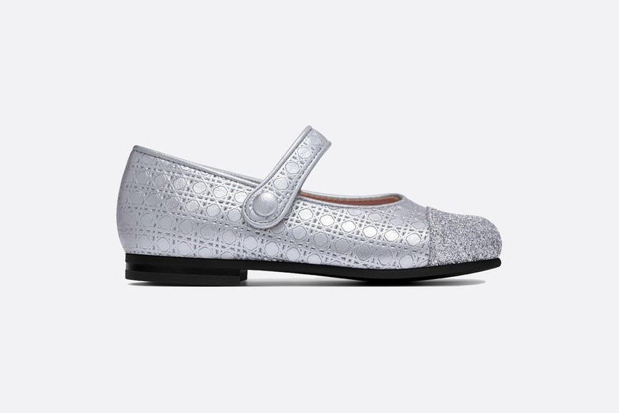 Ballerina Flat • Silver Microcannage Lambskin