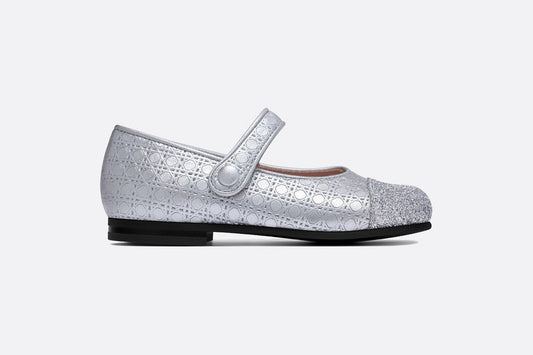 Ballerina Flat • Silver Microcannage Lambskin