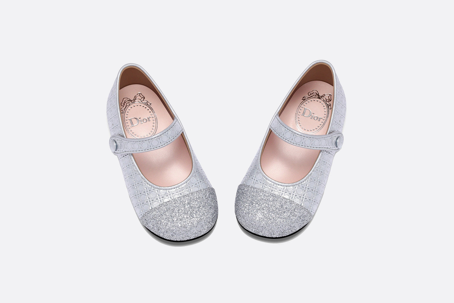 Ballerina Flat • Silver Microcannage Lambskin