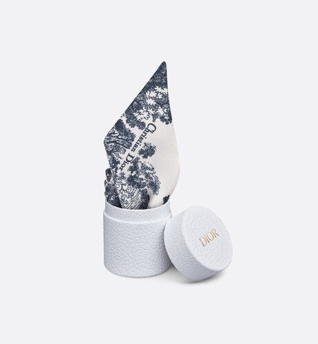 Toile de Jouy Sauvage Mitzah Scarf • Ivory and Navy Blue Silk Twill