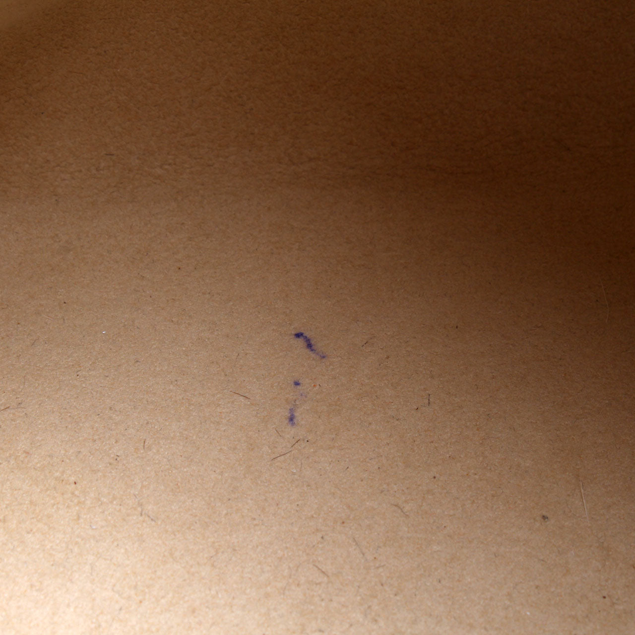 Saleya MM Damier Azur