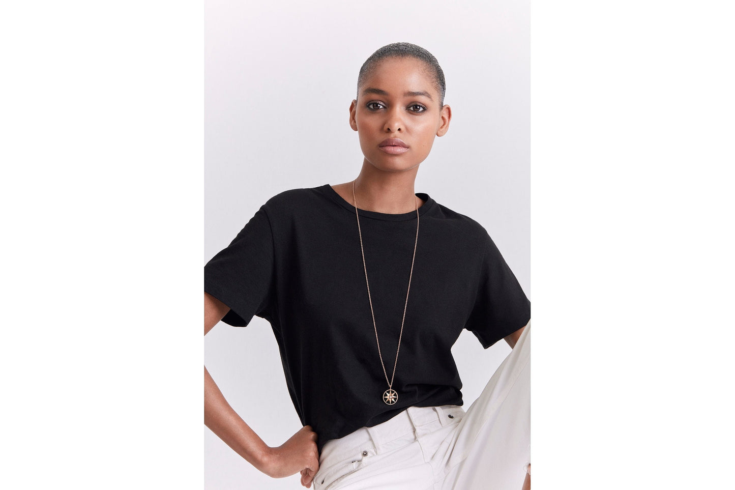 Large Rose Des Vents Medallion • Rose Gold, Diamond and Onyx