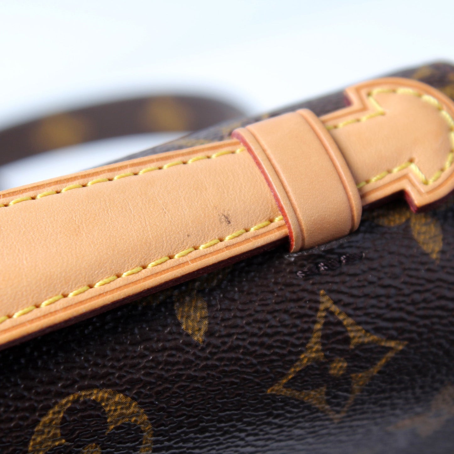 Pochette Metis Monogram