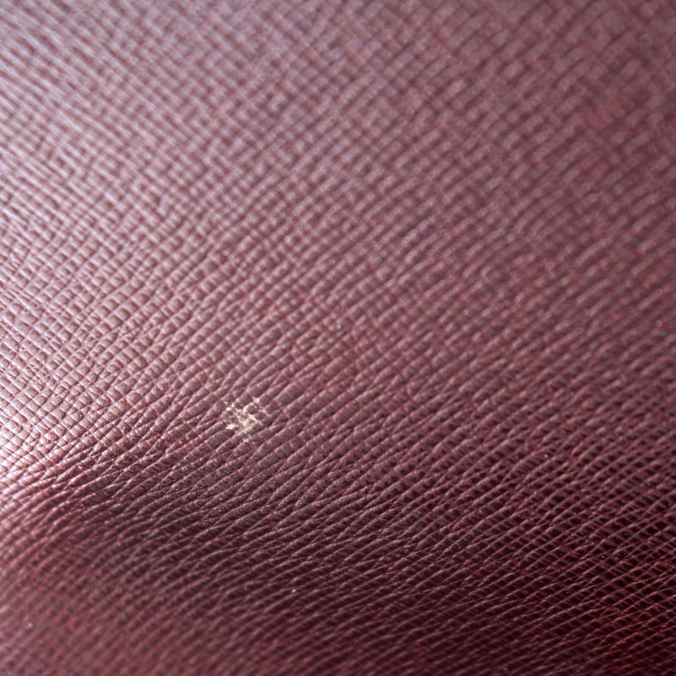 Musette Salsa Long Damier Ebene