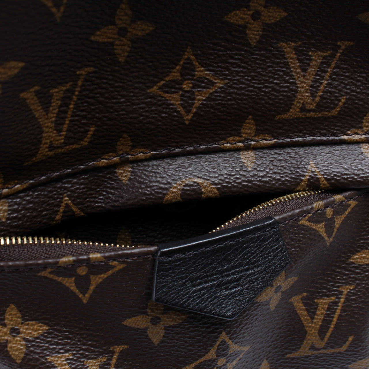 Palm Springs Backpack PM Monogram