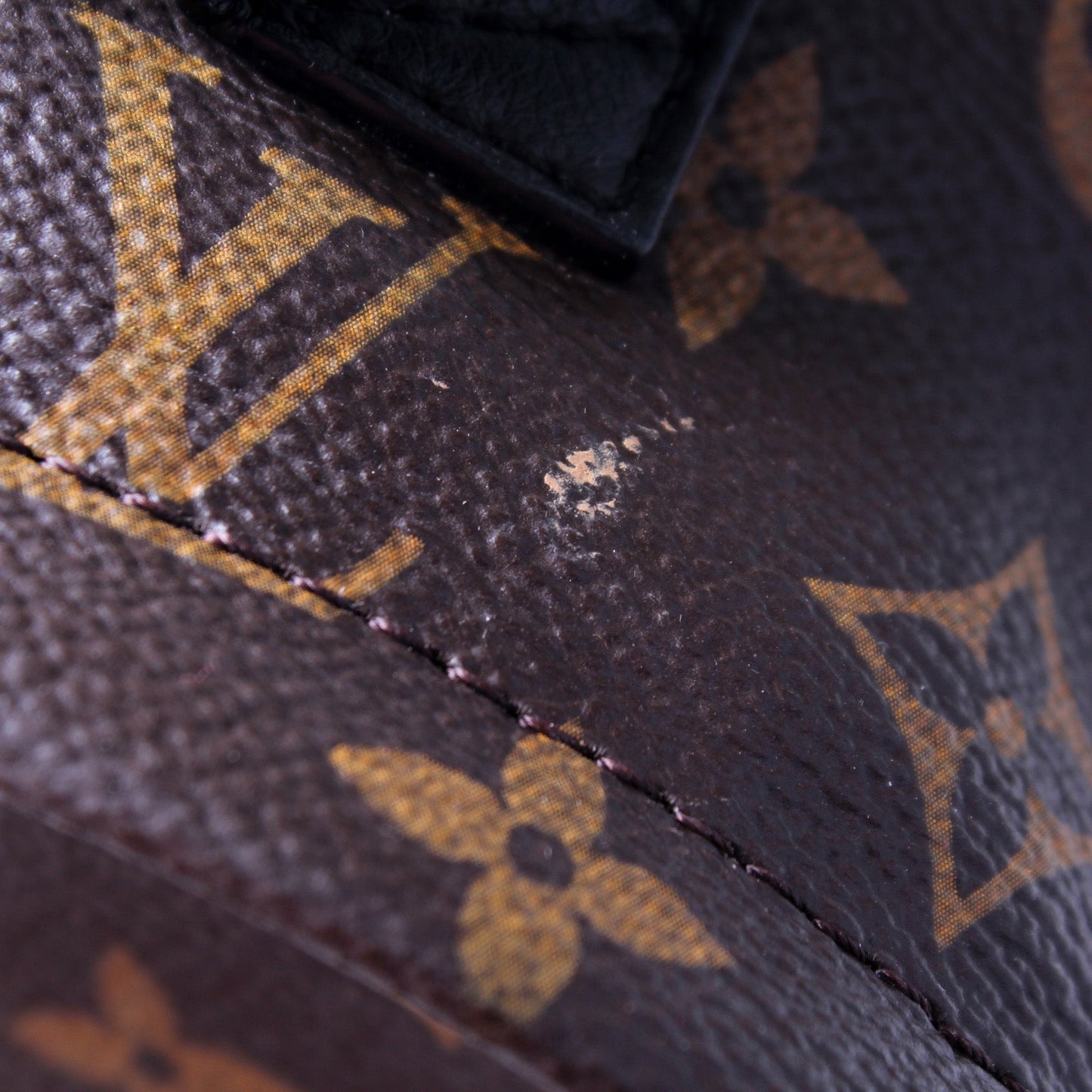 Palm Springs Mini Monogram