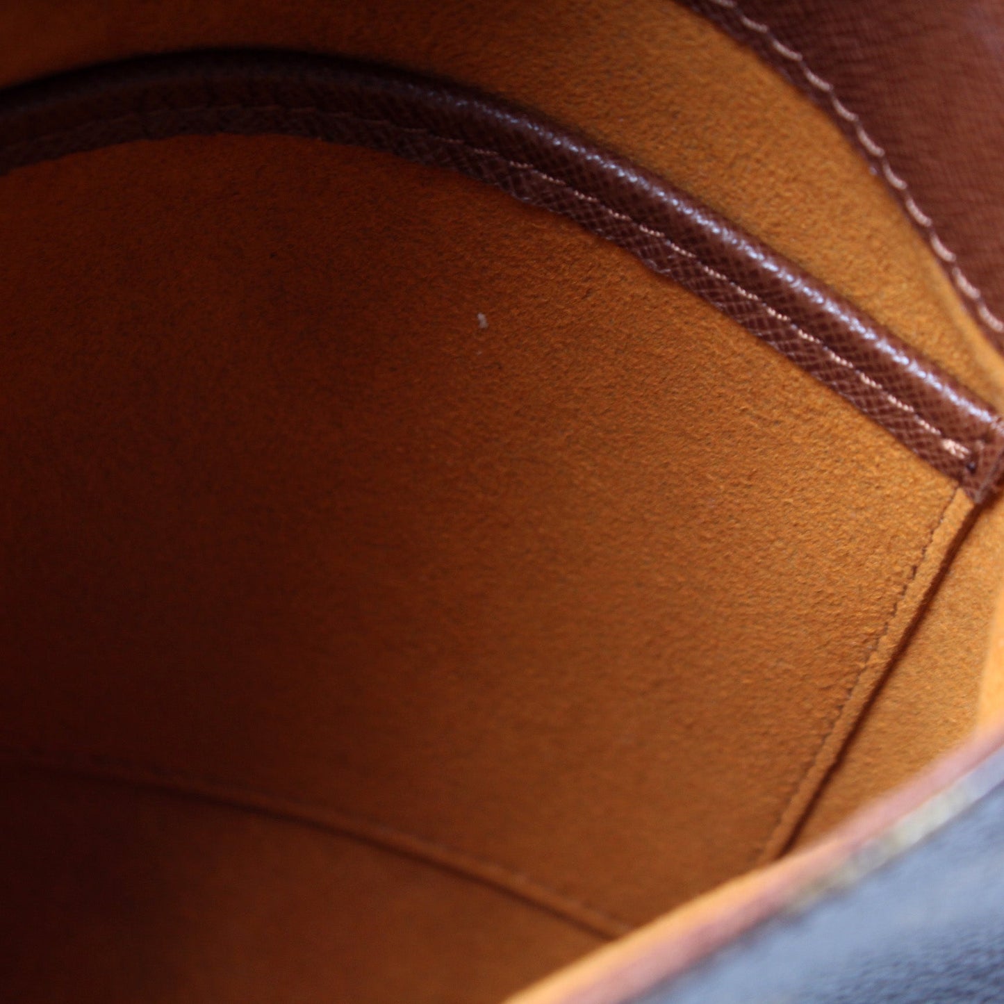 Musette Salsa Long Strap Monogram