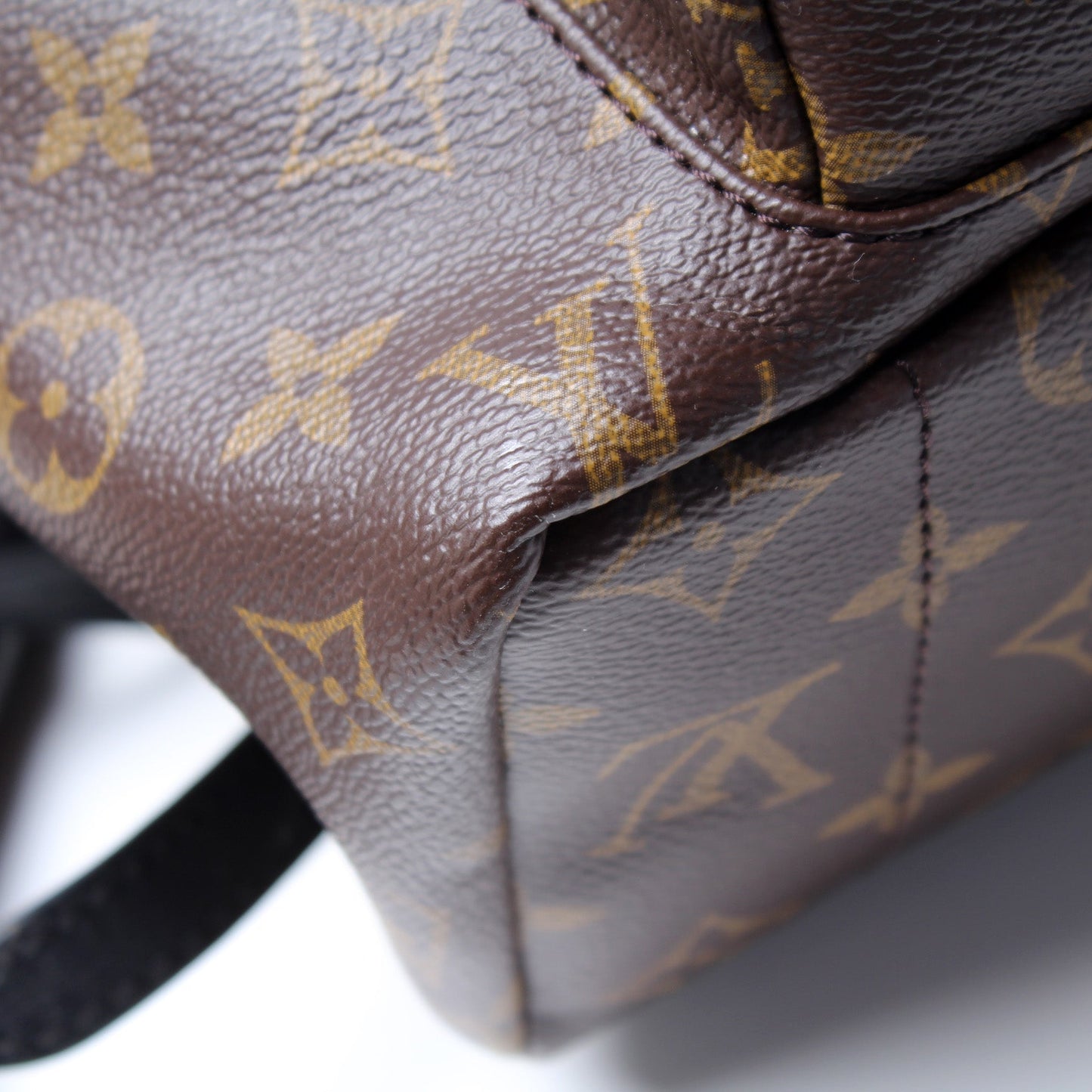 Palm Springs Backpack MM Monogram