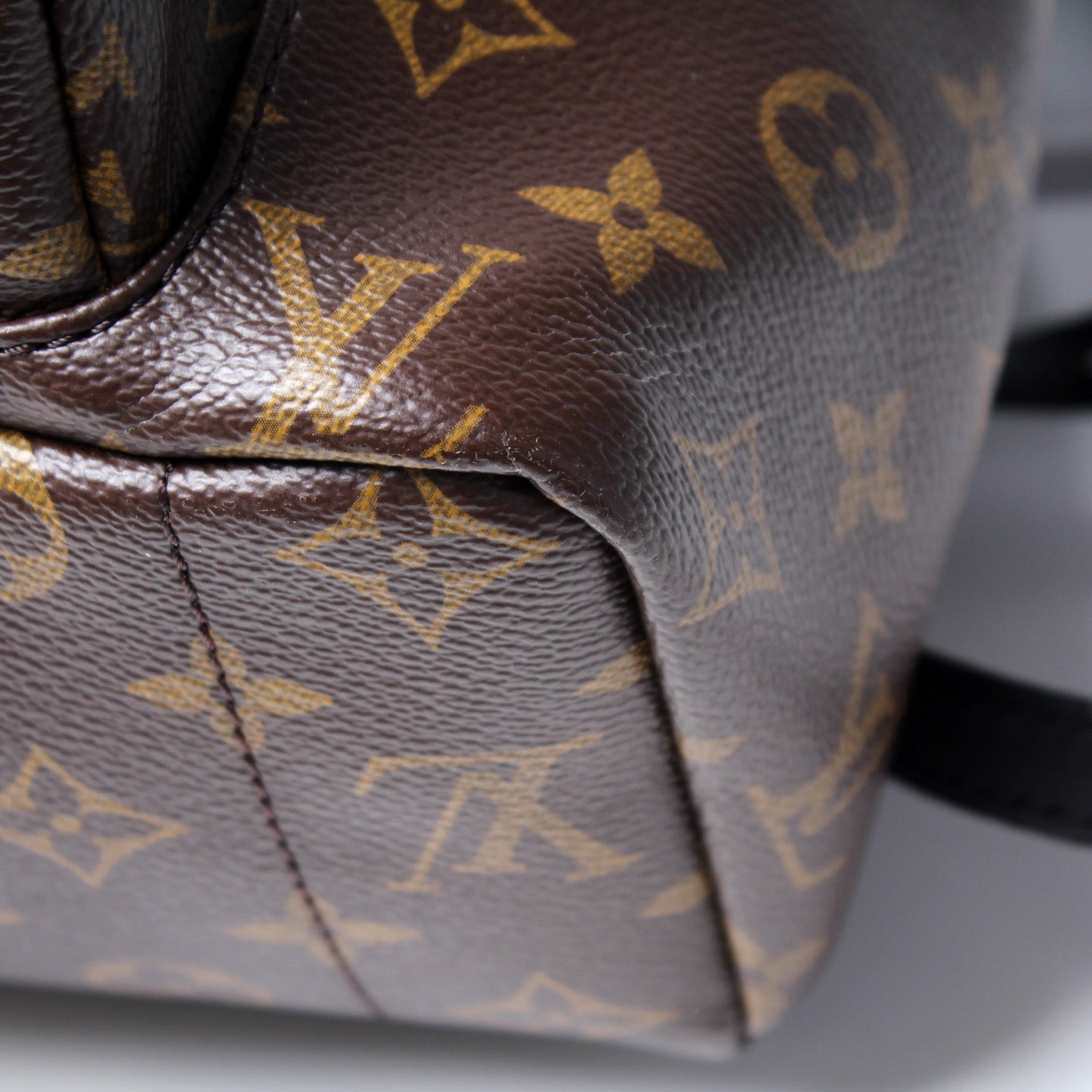 Palm Springs Backpack MM Monogram