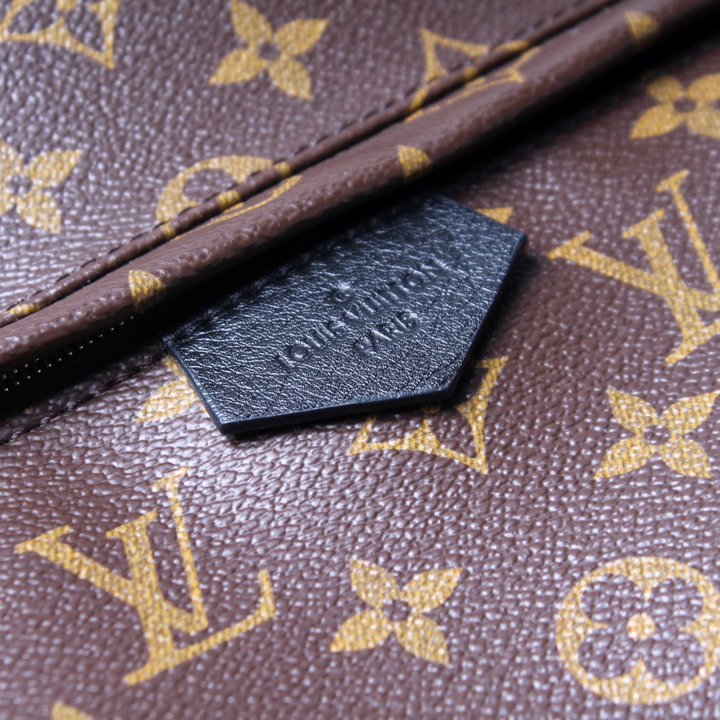 Palm Springs Backpack MM Monogram