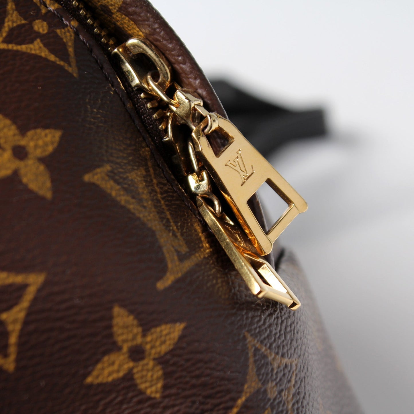 Palm Springs Backpack MM Monogram