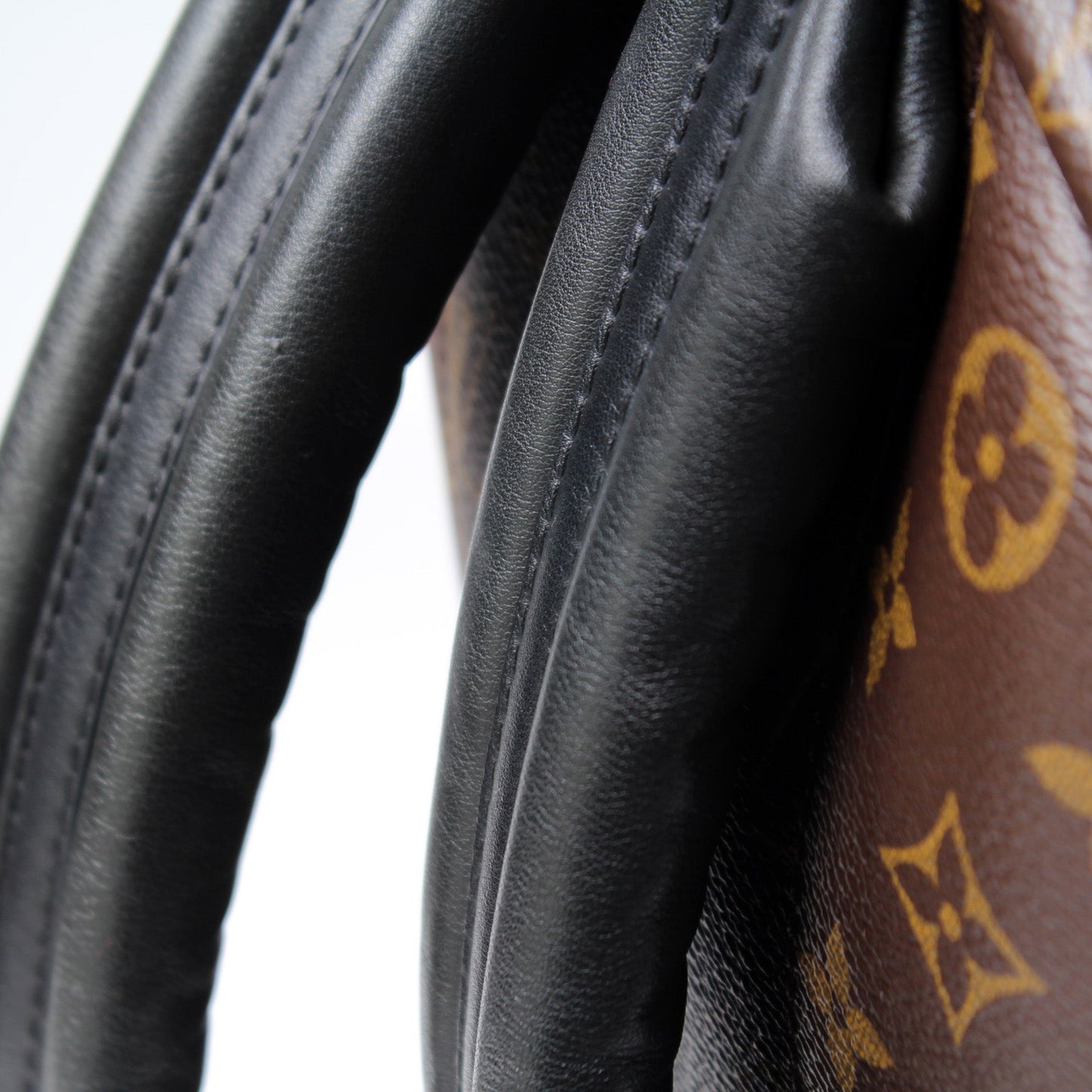 Palm Springs Backpack MM Monogram