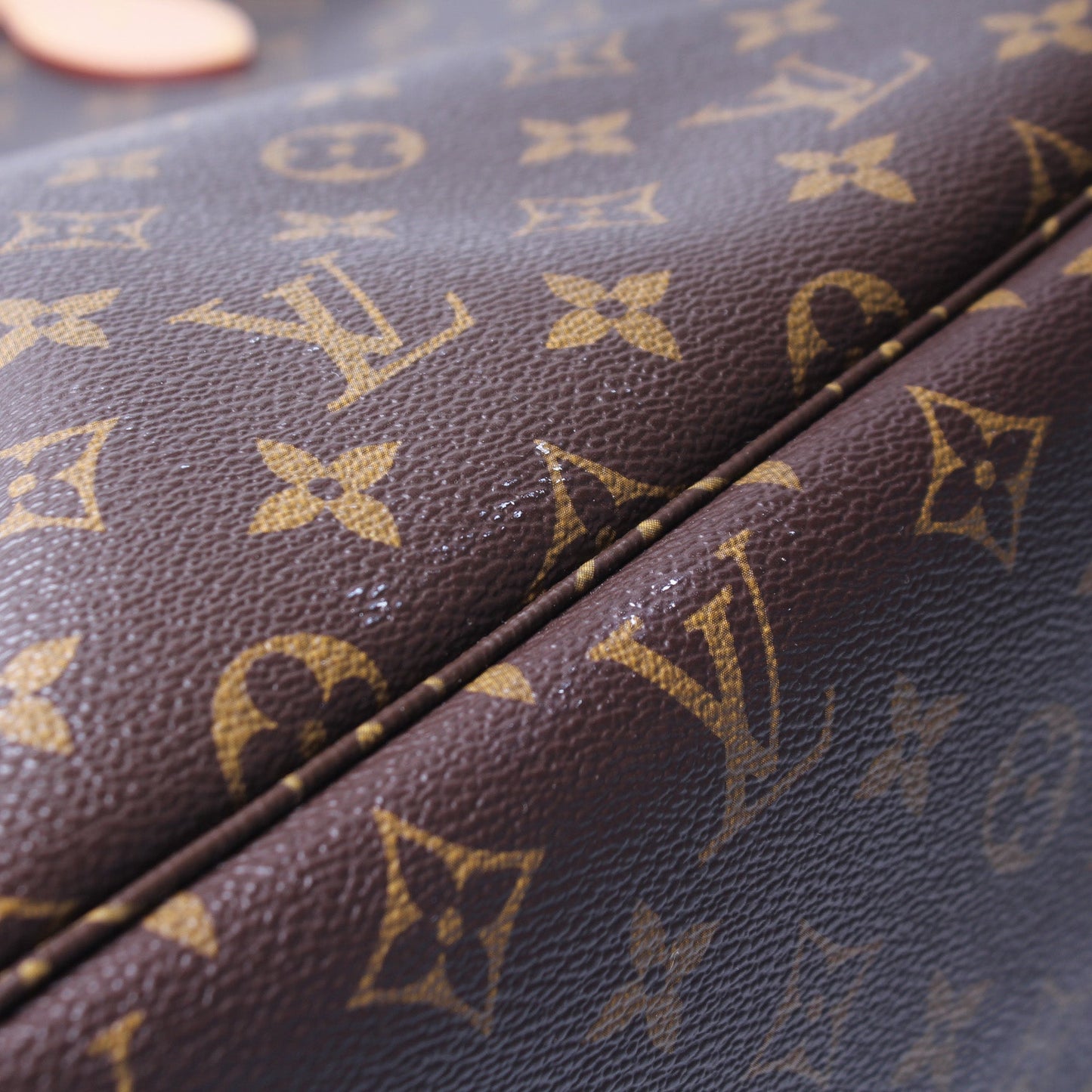 Neverfull GM Monogram