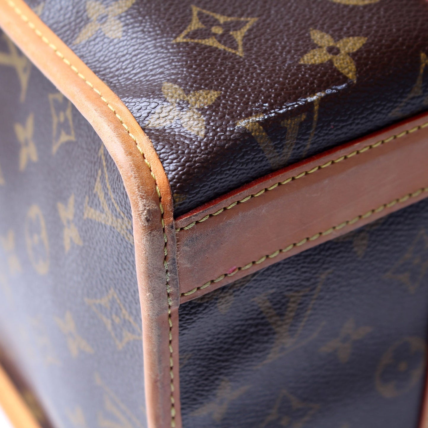 Sac Chien 40 Pet Carrier Monogram