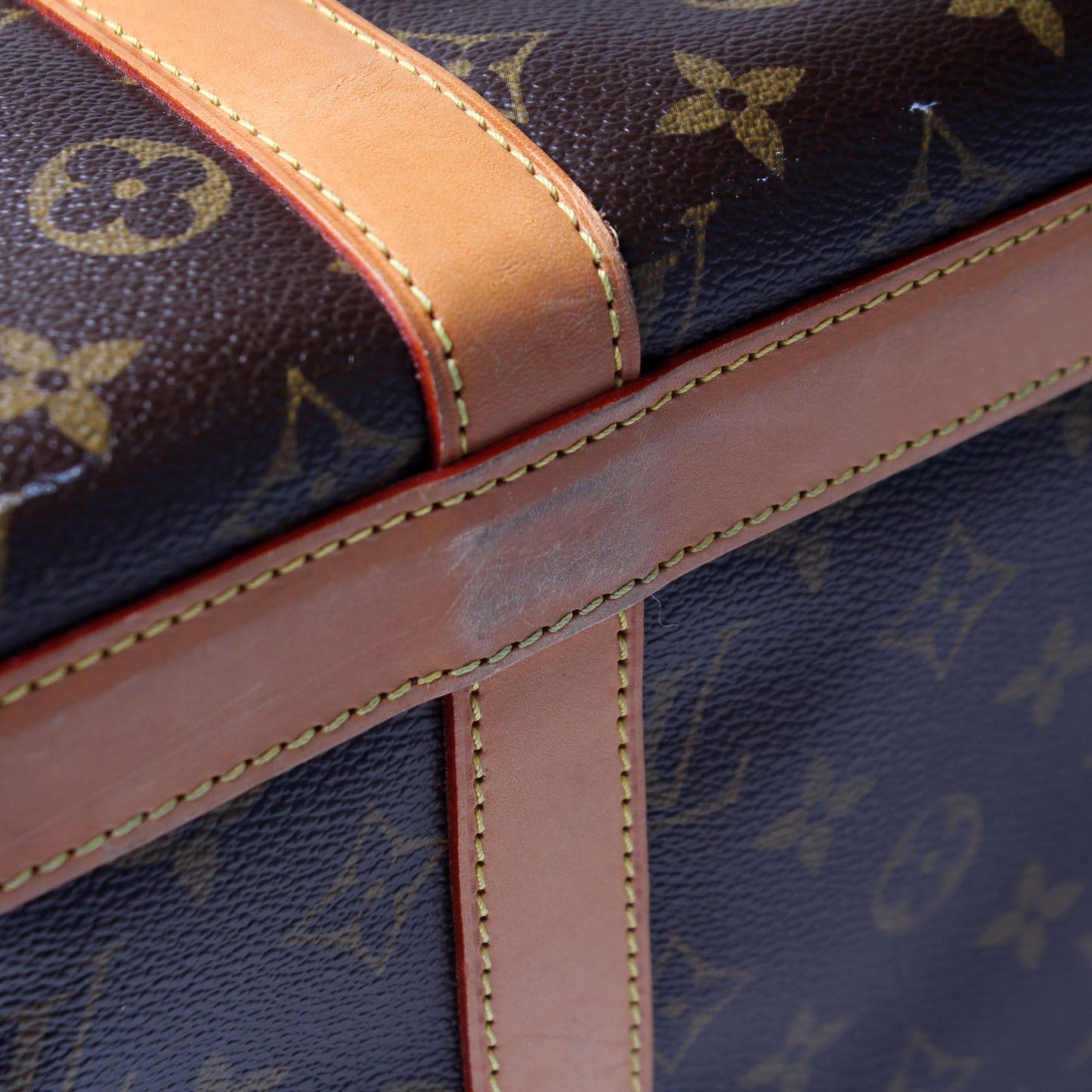 Sac Chien 40 Pet Carrier Monogram