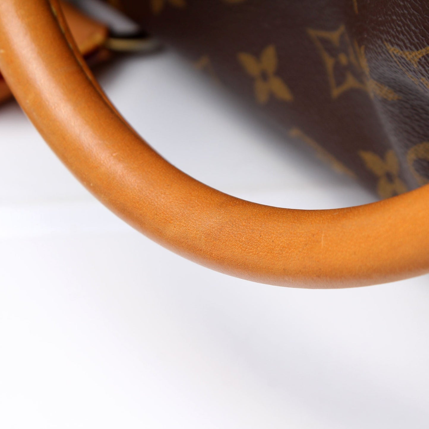 Sac Chien 40 Pet Carrier Monogram