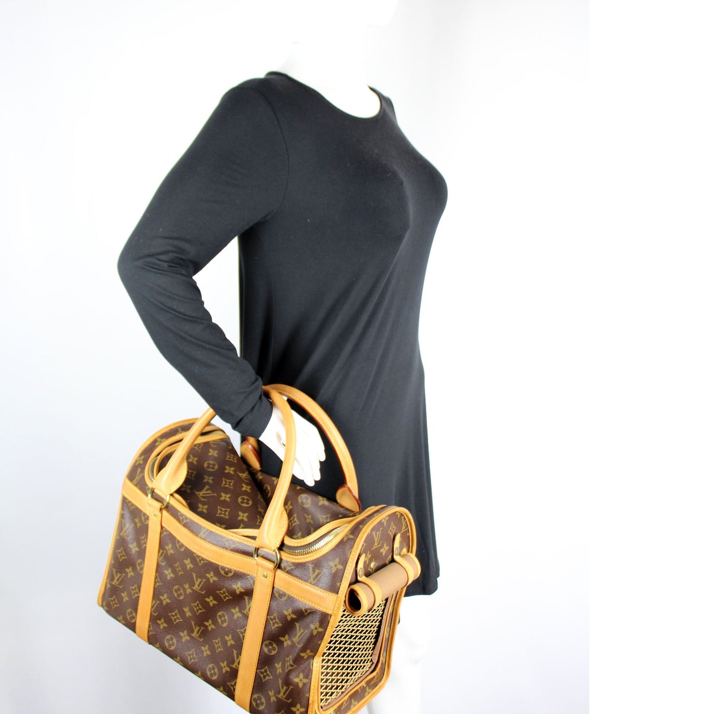 Sac Chien 40 Pet Carrier Monogram