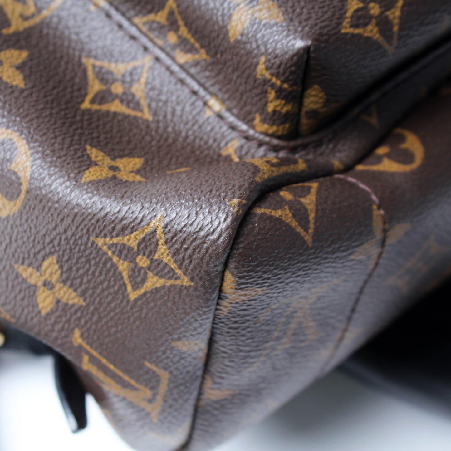 Palm Springs Backpack MM Monogram