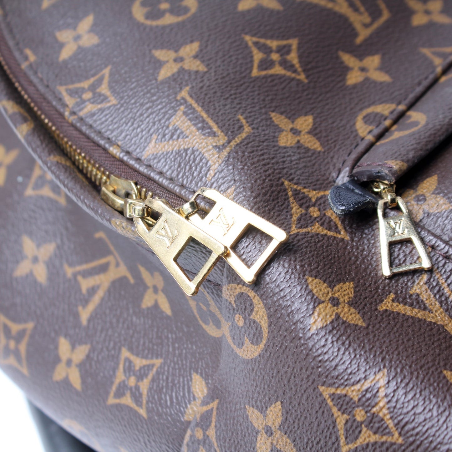 Palm Springs Backpack MM Monogram