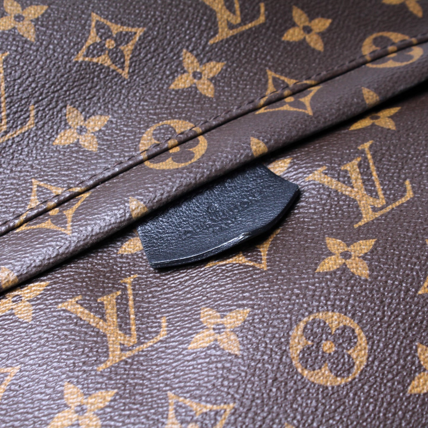 Palm Springs Backpack MM Monogram