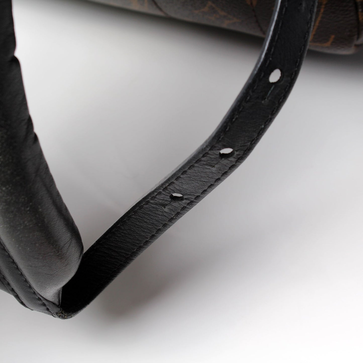 Palm Springs Backpack MM Monogram