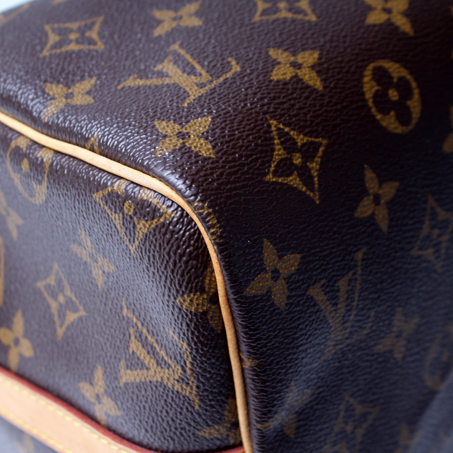 Speedy 30 w/Strap Monogram