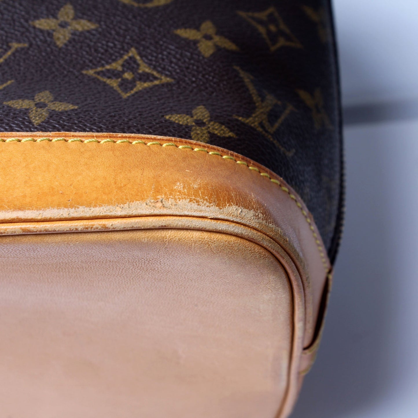 Alma PM Monogram Older