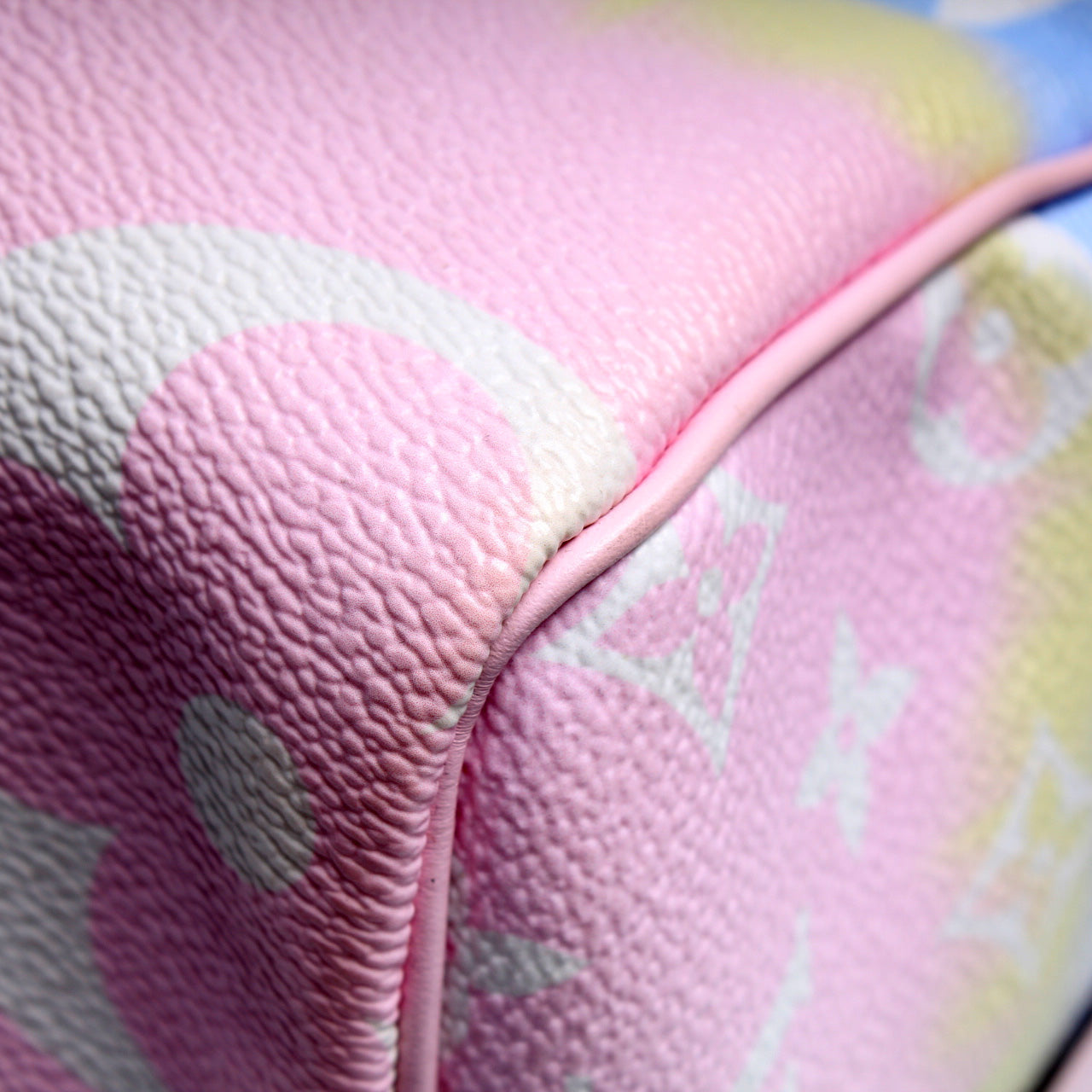 Speedy 30 With Bandouliere Monogram Escale