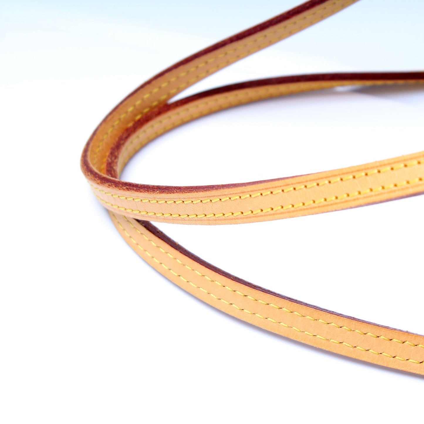 Neverfull GM Monogram