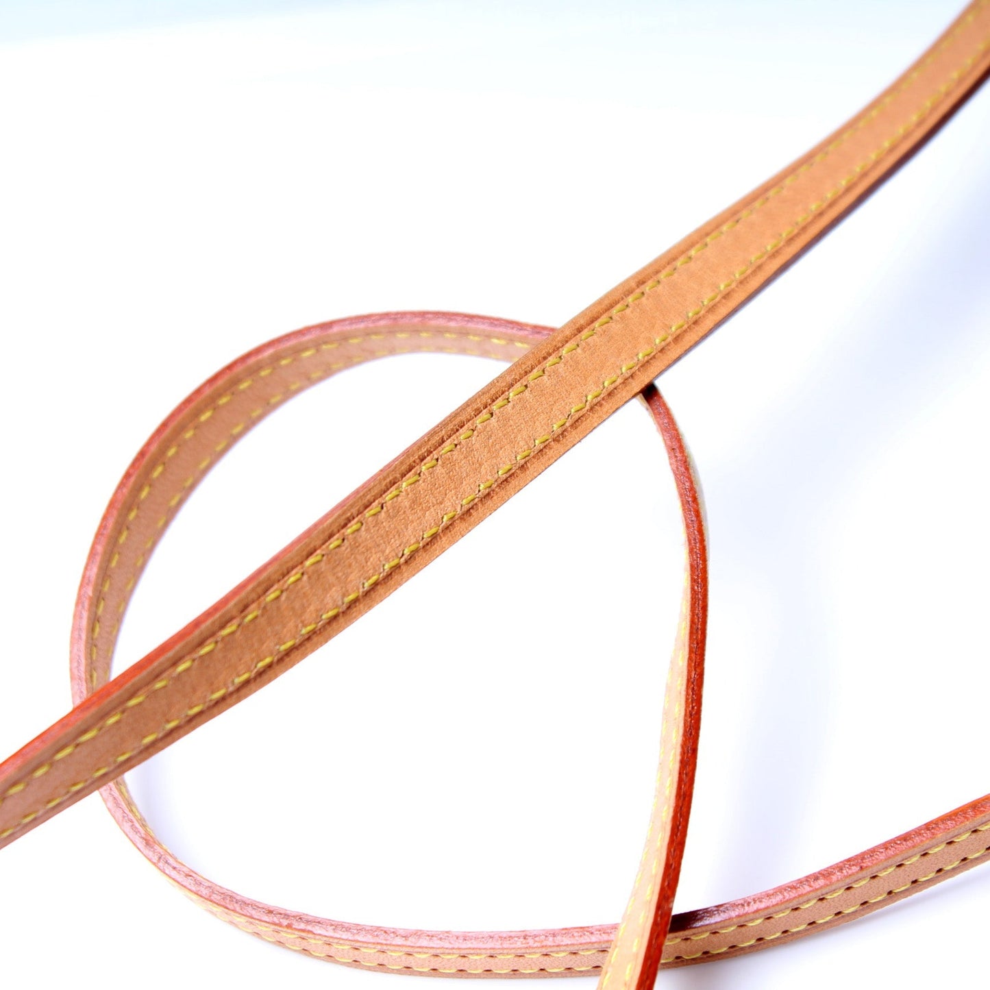 Pochette Twin GM Monogram