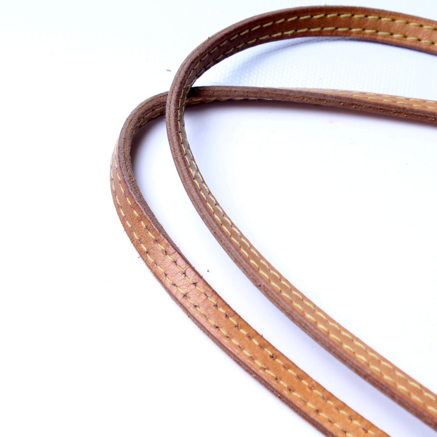 Neverfull PM Monogram