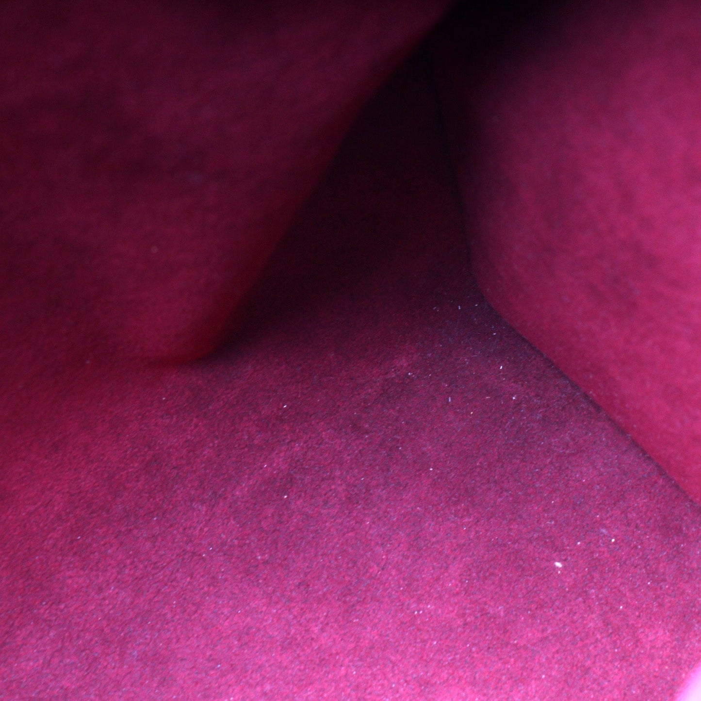 Speedy 30 Multicolor