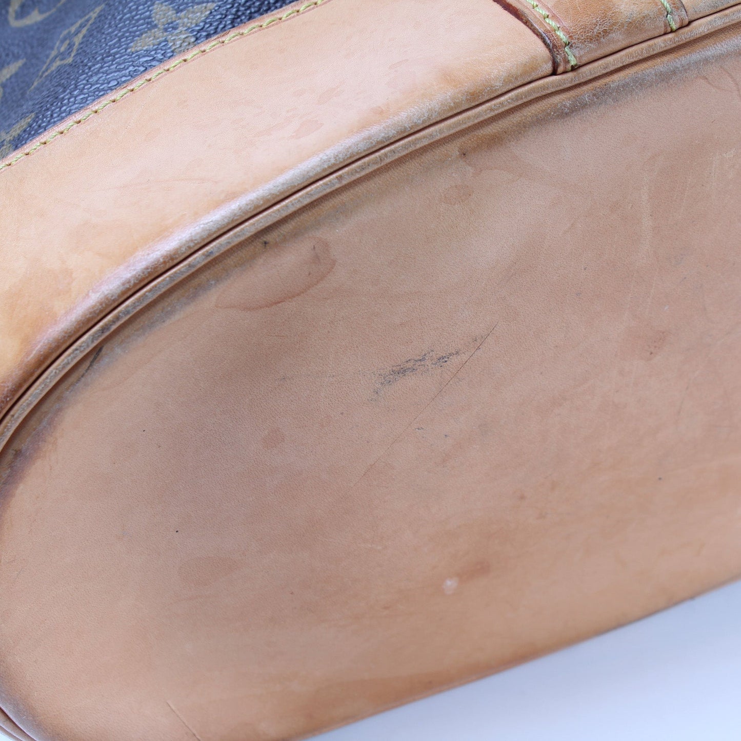 Randonnee Backpack PM Monogram