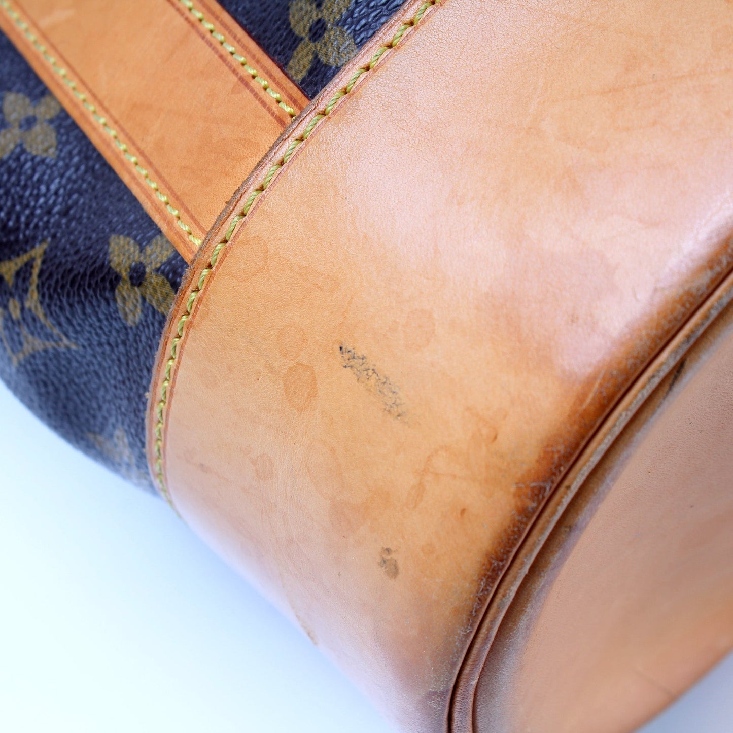 Randonnee Backpack PM Monogram