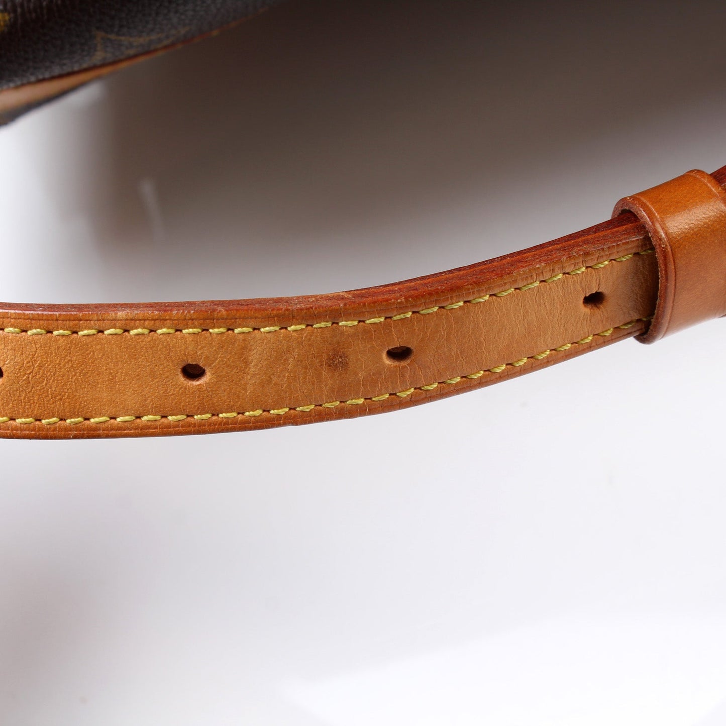 Randonnee Backpack PM Monogram