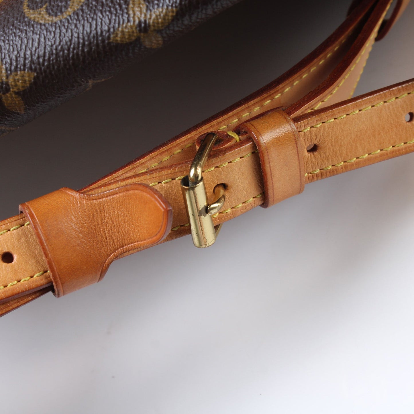 Randonnee Backpack PM Monogram