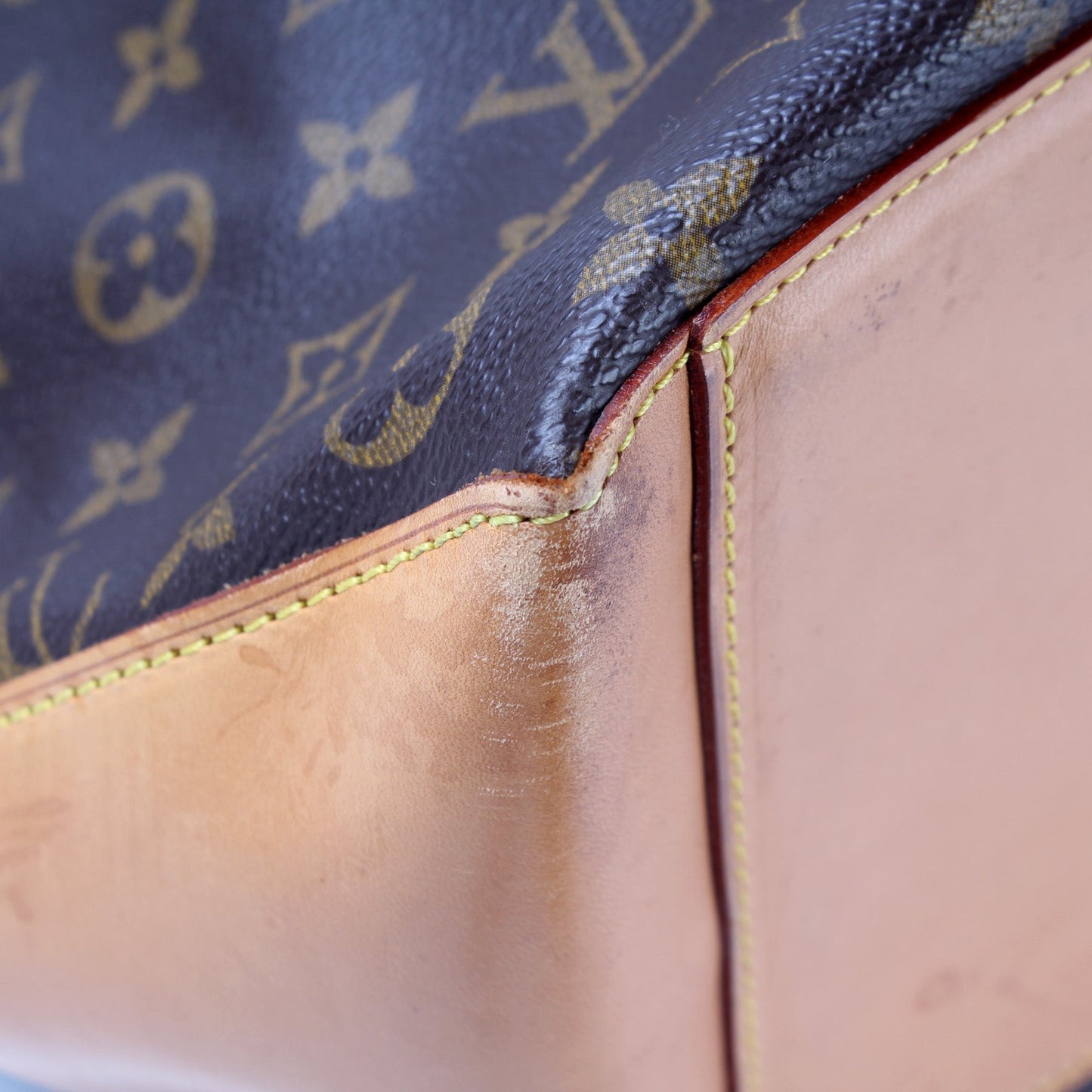 Cabas Alto Tote Monogram