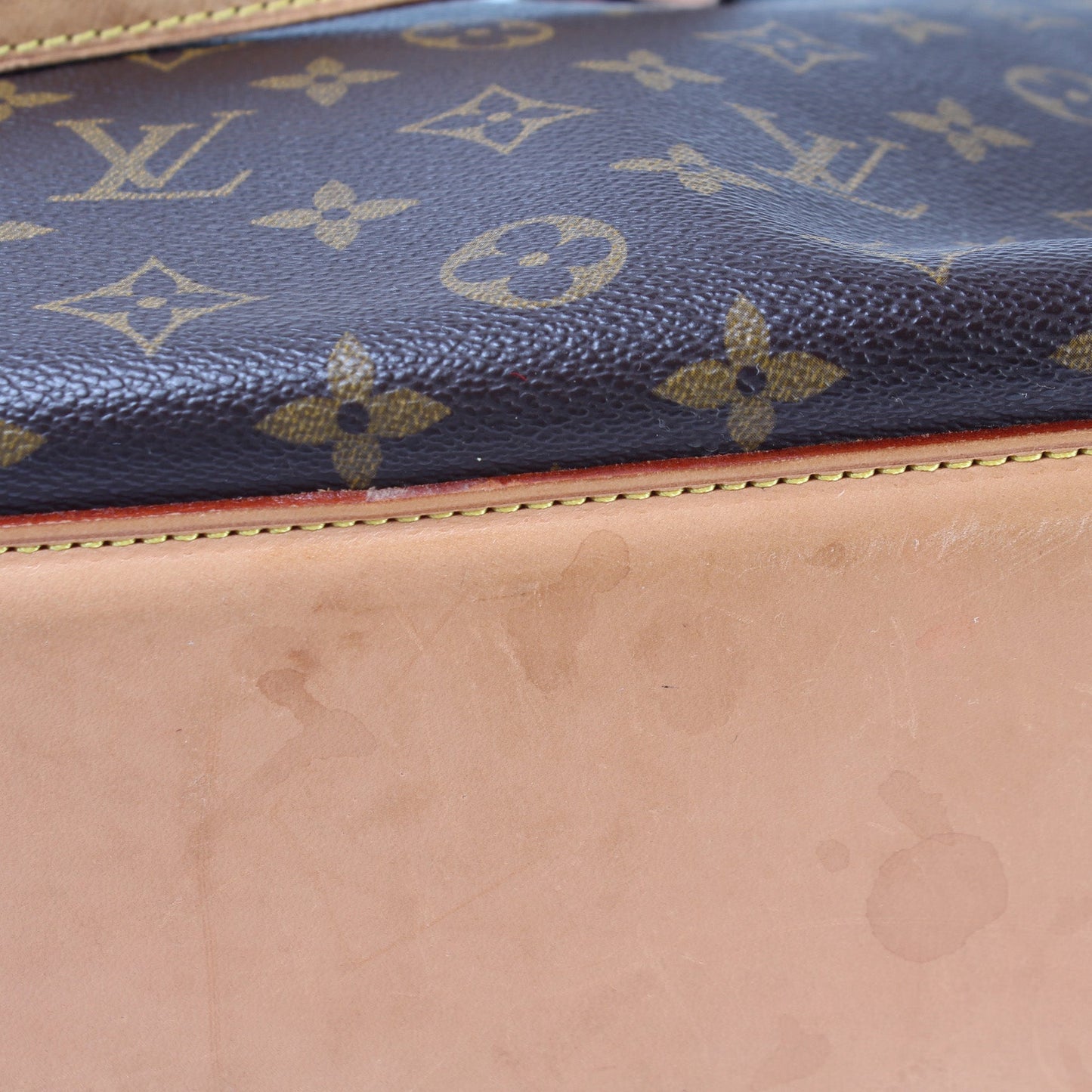 Cabas Alto Tote Monogram