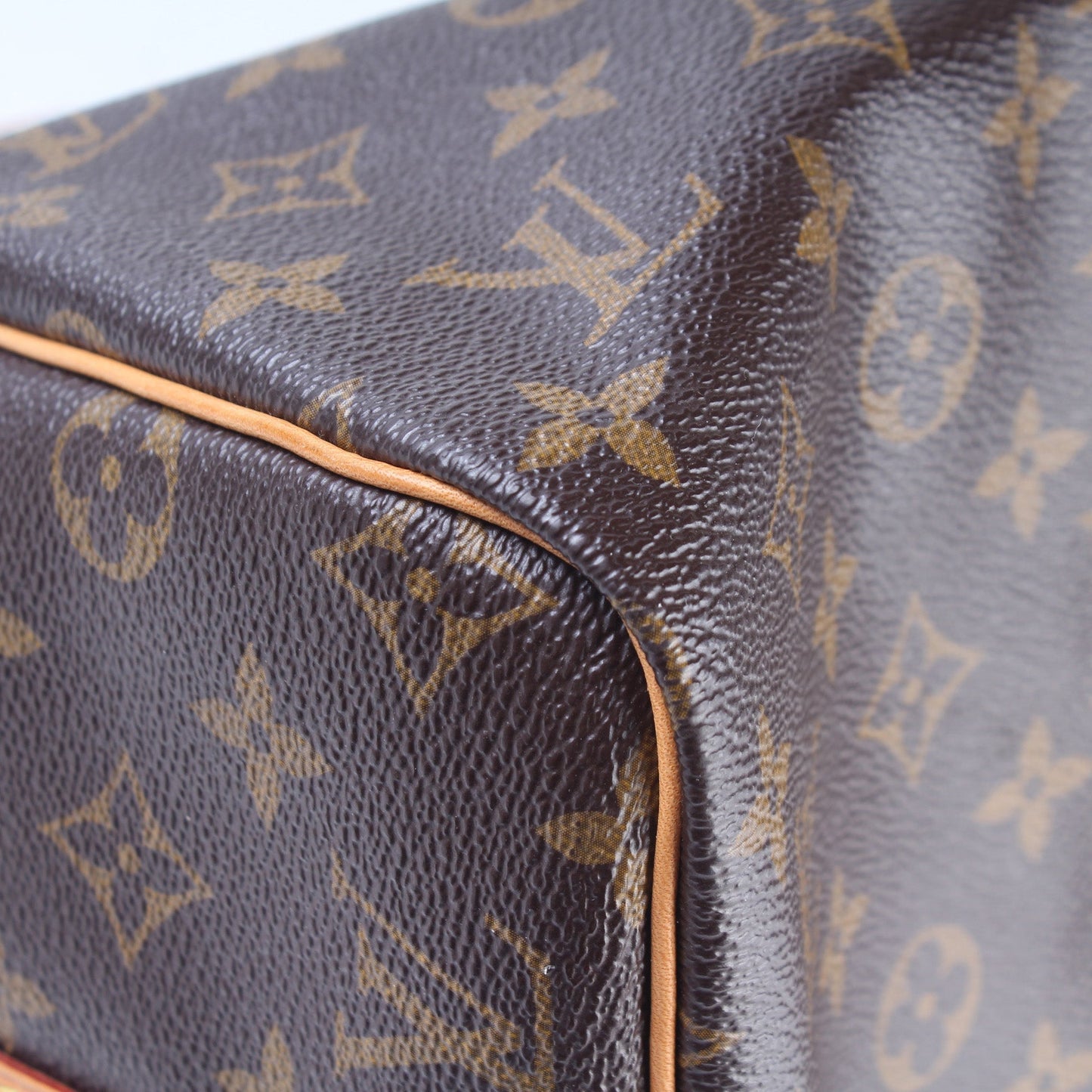 Speedy 30 Bandouliere Monogram