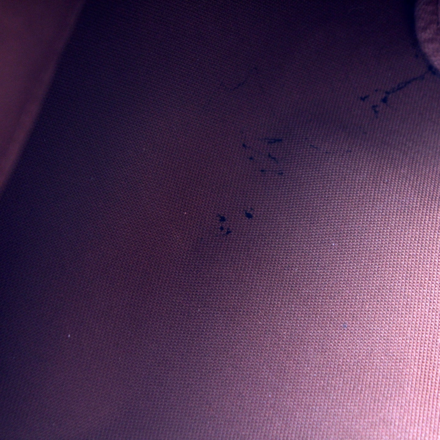 Speedy 30 Bandouliere Monogram