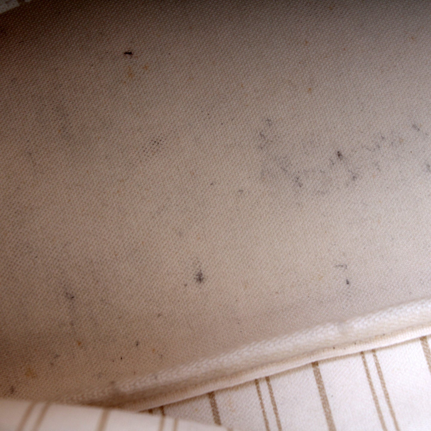 Neverfull PM Damier Azur