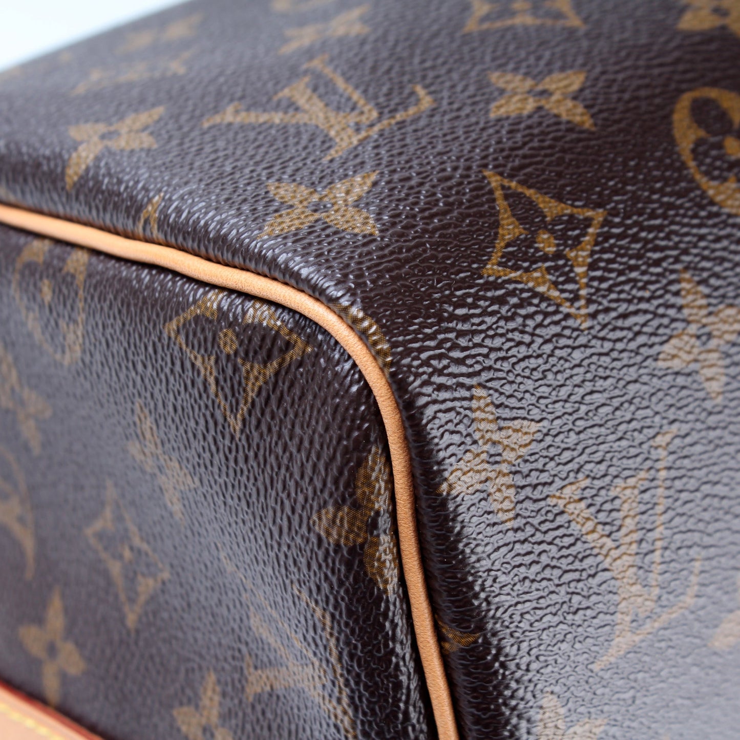 Speedy 30 Bandouliere Monogram