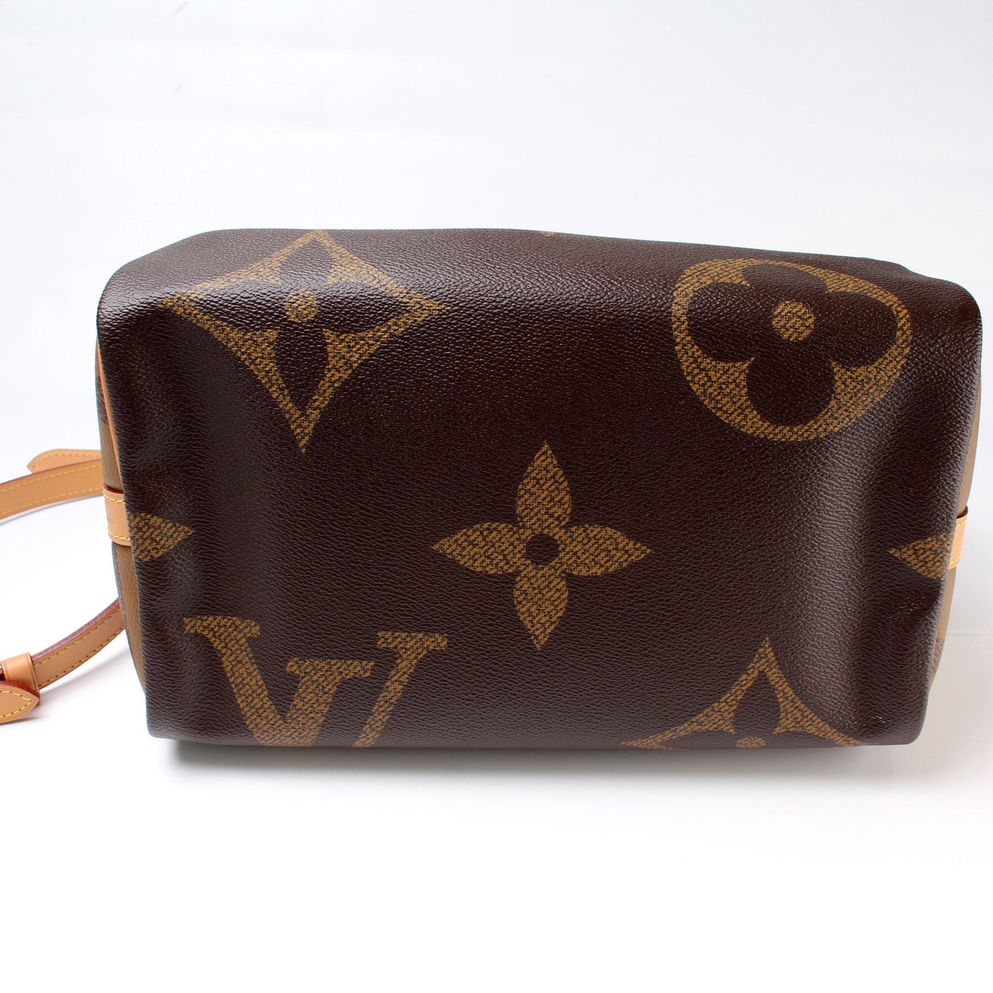 Speedy 30 Bandouliere Giant Monogram