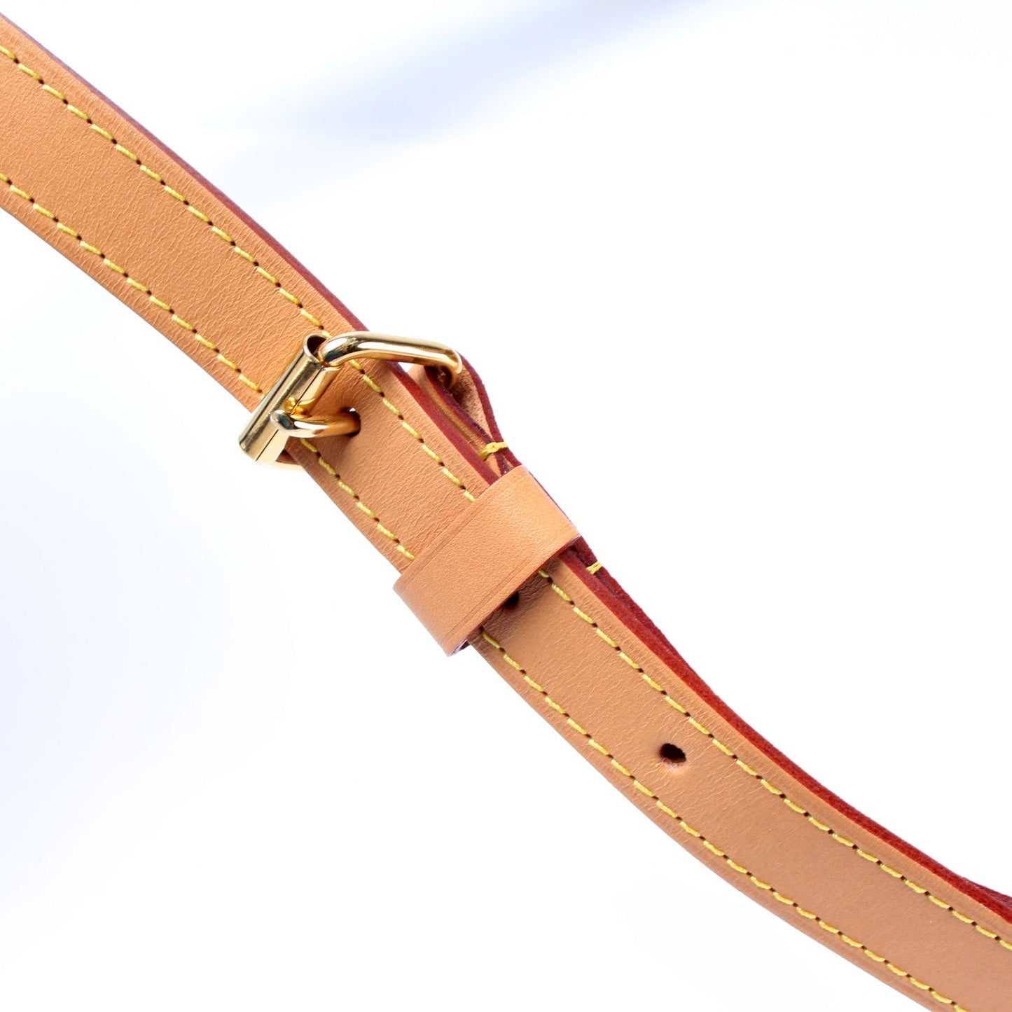 Speedy 30 Bandouliere Giant Monogram