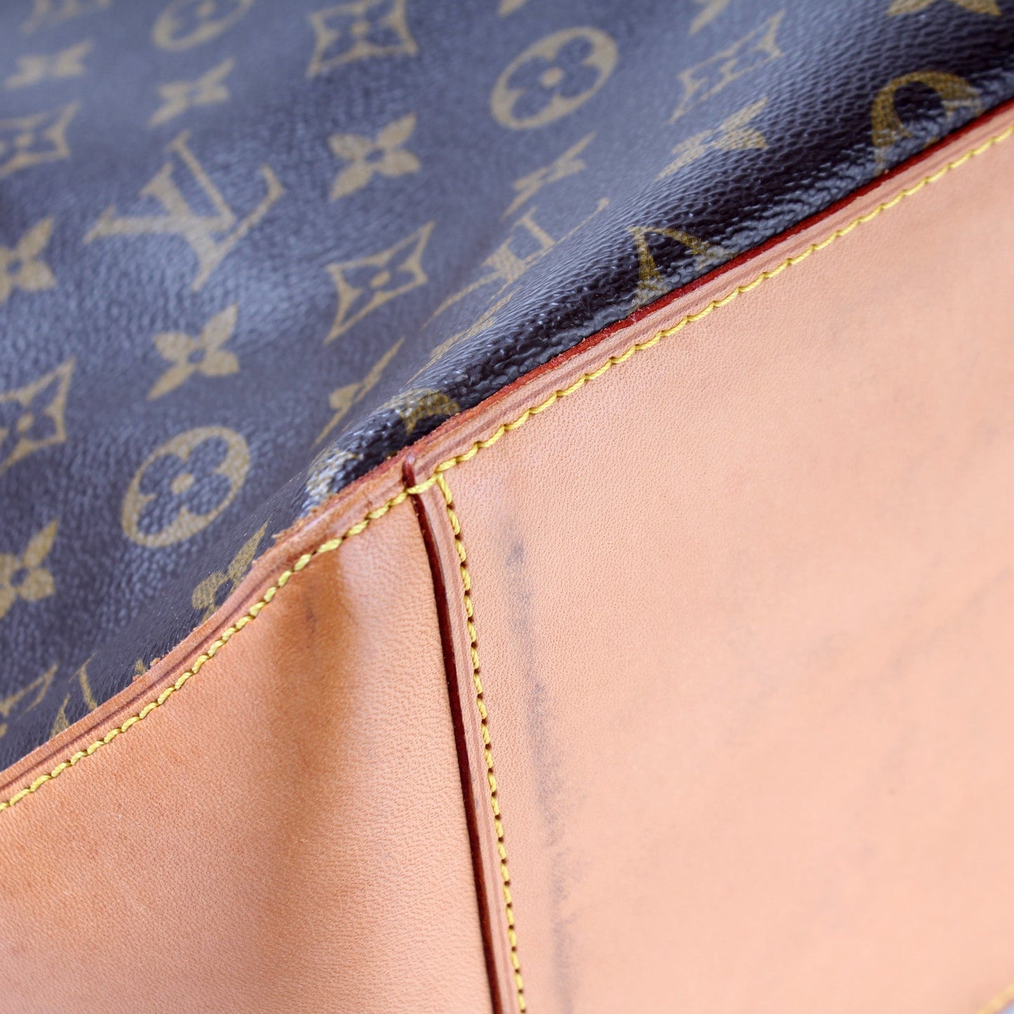 Cabas Mezzo Monogram